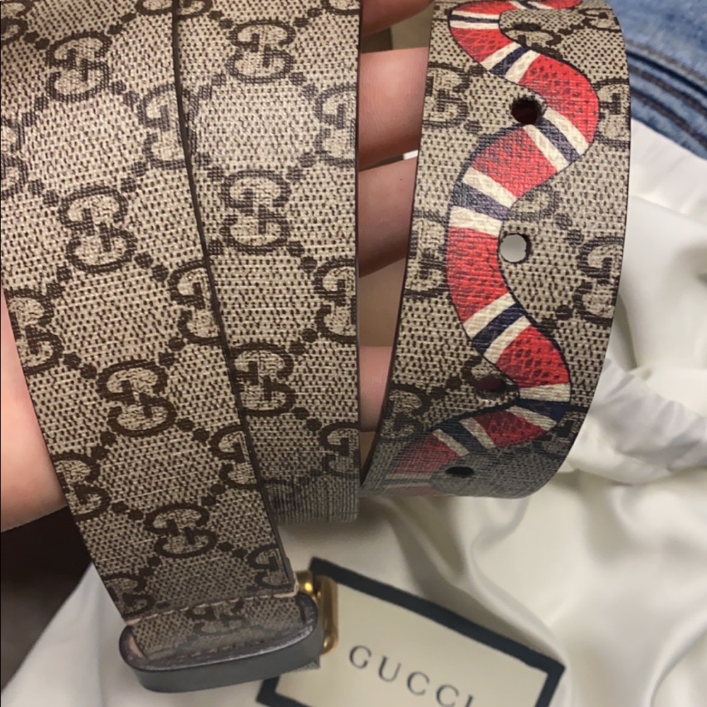 Brown king snake Gucci belt
